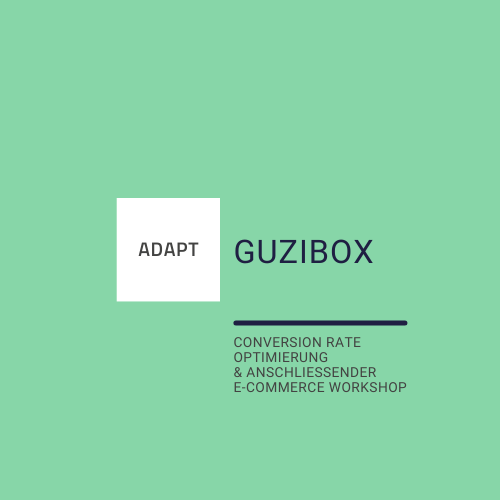Referenz guzibox Onlineshopanalyse und E-Commerce Workshop