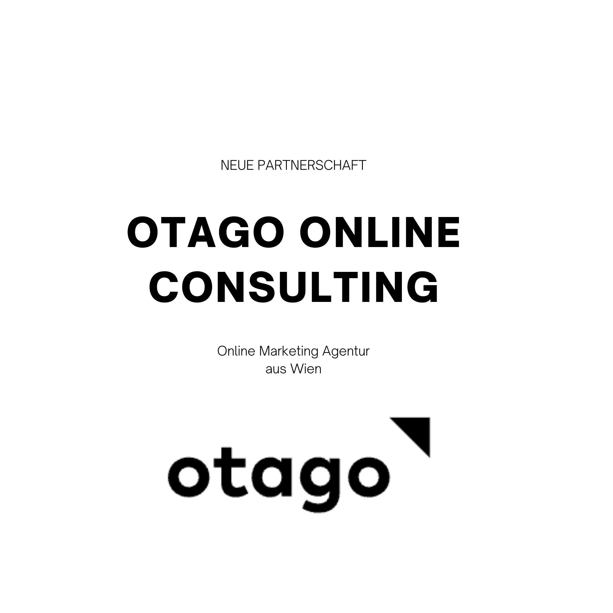 otago online consulting aus wien ist seit april 2024 partner bei exvomo
